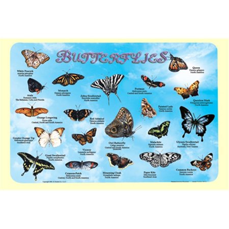 PAINLESS LEARNING Butterflies Placemat 4PK BUT1